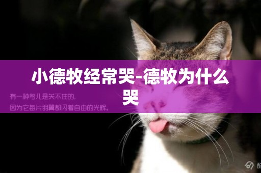 小德牧經常哭-德牧為什么哭
