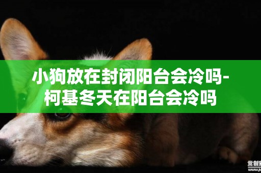 小狗放在封閉陽臺會冷嗎-柯基冬天在陽臺會冷嗎