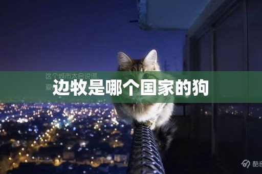 邊牧是哪個國家的狗