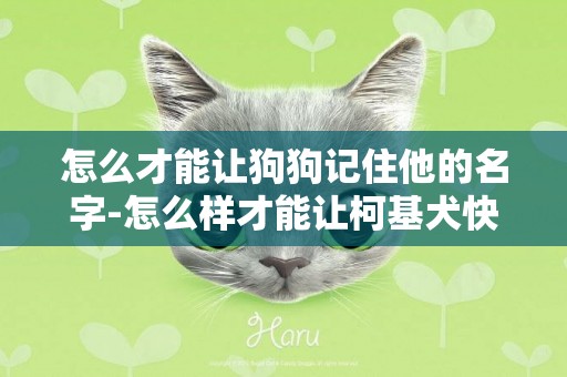 怎么才能讓狗狗記住他的名字-怎么樣才能讓柯基犬快點記住自己的名字