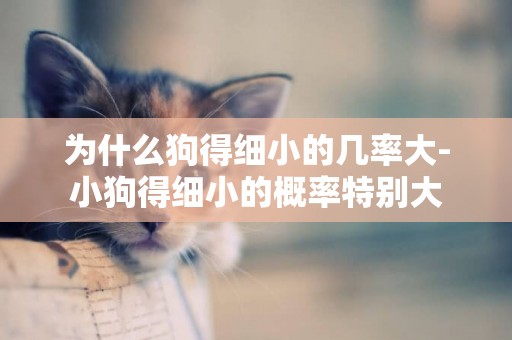為什么狗得細小的幾率大-小狗得細小的概率特別大