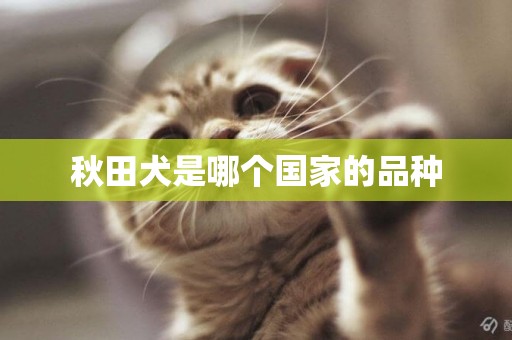 秋田犬是哪個國家的品種