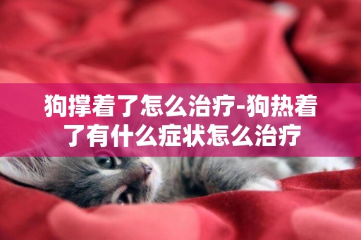 狗撐著了怎么治療-狗熱著了有什么癥狀怎么治療