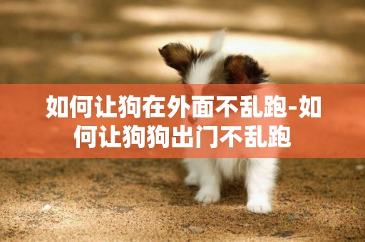 如何讓狗在外面不亂跑-如何讓狗狗出門不亂跑