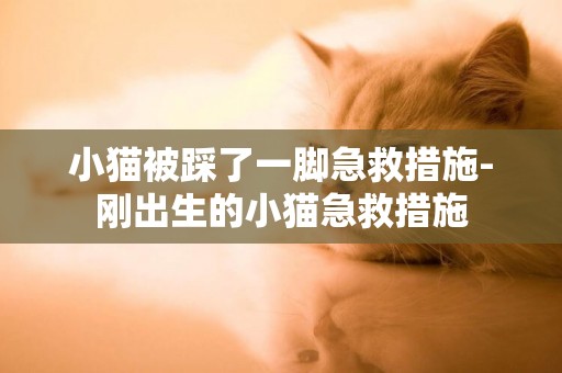 小貓被踩了一腳急救措施-剛出生的小貓急救措施