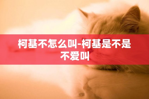 柯基不怎么叫-柯基是不是不愛叫