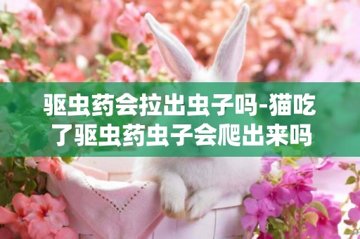 驅蟲藥會拉出蟲子嗎-貓吃了驅蟲藥蟲子會爬出來嗎