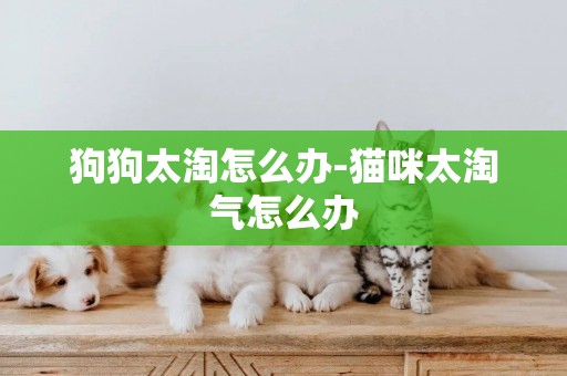 狗狗太淘怎么辦-貓咪太淘氣怎么辦