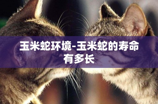 玉米蛇環境-玉米蛇的壽命有多長