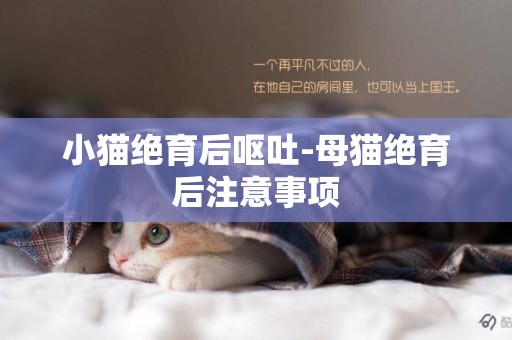 小貓絕育后嘔吐-母貓絕育后注意事項