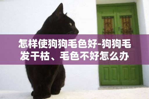 怎樣使狗狗毛色好-狗狗毛發干枯、毛色不好怎么辦
