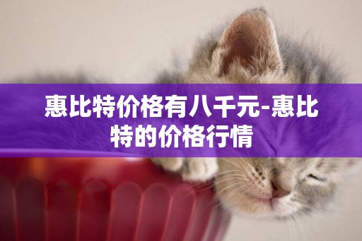 惠比特價格有八千元-惠比特的價格行情