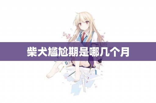 柴犬尷尬期是哪幾個月