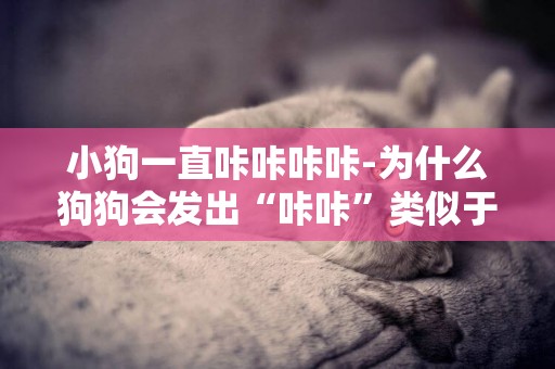 小狗一直咔咔咔咔-為什么狗狗會發出“咔咔”類似于咳嗽的聲音呢