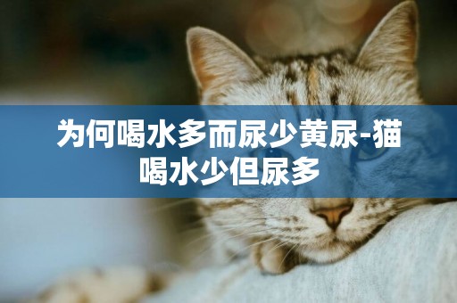為何喝水多而尿少黃尿-貓喝水少但尿多