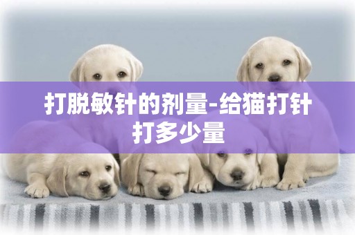 打脫敏針的劑量-給貓打針打多少量
