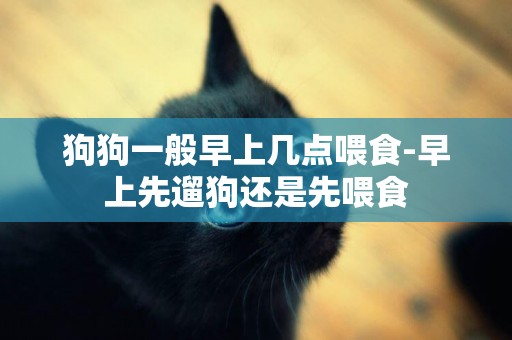 狗狗一般早上幾點喂食-早上先遛狗還是先喂食