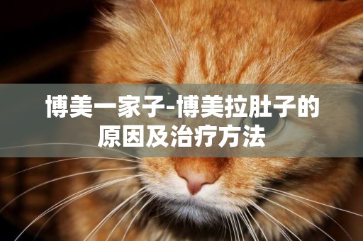 博美一家子-博美拉肚子的原因及治療方法