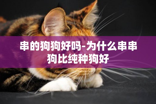 串的狗狗好嗎-為什么串串狗比純種狗好