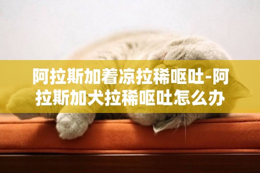 阿拉斯加著涼拉稀嘔吐-阿拉斯加犬拉稀嘔吐怎么辦