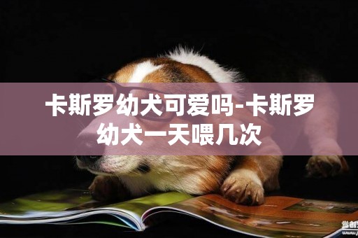 卡斯羅幼犬可愛嗎-卡斯羅幼犬一天喂幾次