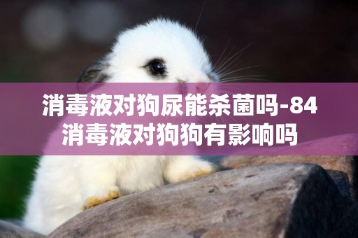 消毒液對狗尿能殺菌嗎-84消毒液對狗狗有影響嗎