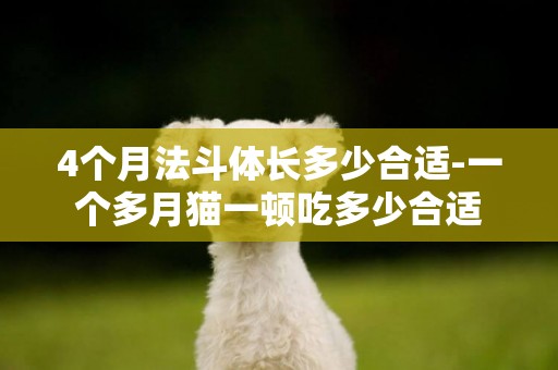 4個月法斗體長多少合適-一個多月貓一頓吃多少合適