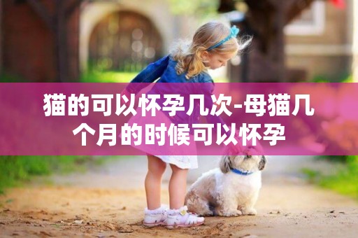 貓的可以懷孕幾次-母貓幾個月的時候可以懷孕