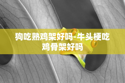 狗吃熟雞架好嗎-牛頭梗吃雞骨架好嗎
