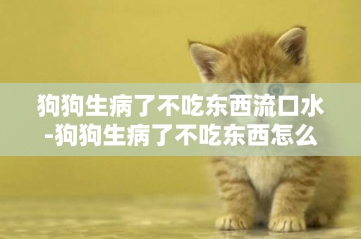 狗狗生病了不吃東西流口水-狗狗生病了不吃東西怎么辦
