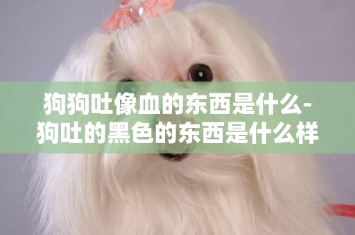 狗狗吐像血的東西是什么-狗吐的黑色的東西是什么樣的