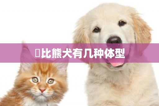 ?比熊犬有幾種體型