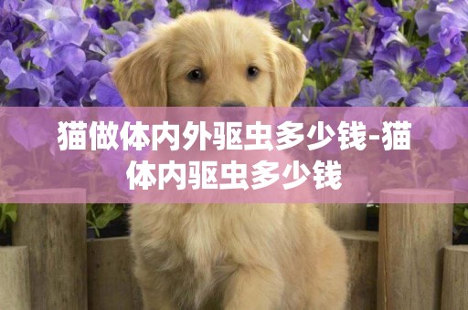 貓做體內外驅蟲多少錢-貓體內驅蟲多少錢