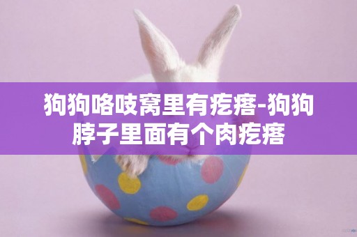 狗狗咯吱窩里有疙瘩-狗狗脖子里面有個肉疙瘩