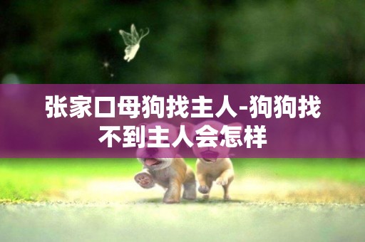 張家口母狗找主人-狗狗找不到主人會怎樣