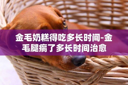金毛奶糕得吃多長時間-金毛腿瘸了多長時間治愈