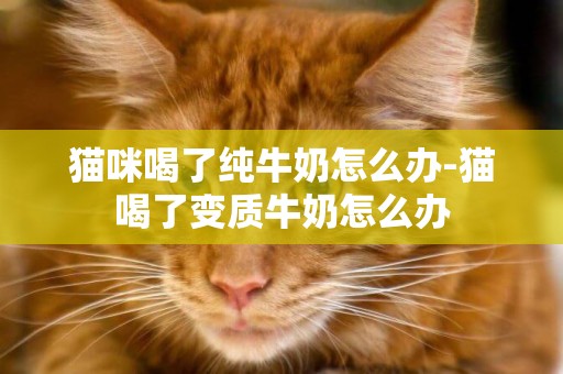 貓咪喝了純牛奶怎么辦-貓喝了變質牛奶怎么辦