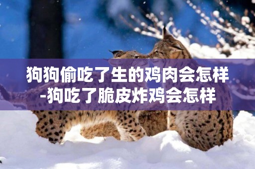 狗狗偷吃了生的雞肉會怎樣-狗吃了脆皮炸雞會怎樣