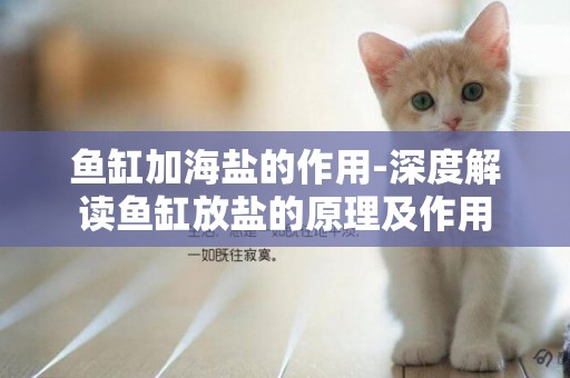 魚缸加海鹽的作用-深度解讀魚缸放鹽的原理及作用