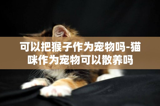 可以把猴子作為寵物嗎-貓咪作為寵物可以散養嗎