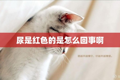 尿是紅色的是怎么回事啊