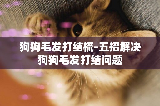 狗狗毛發打結梳-五招解決狗狗毛發打結問題