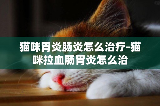 貓咪胃炎腸炎怎么治療-貓咪拉血腸胃炎怎么治