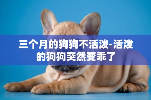 三個月的狗狗不活潑-活潑的狗狗突然變乖了