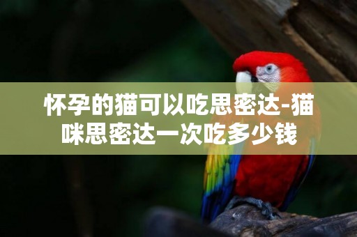 懷孕的貓可以吃思密達-貓咪思密達一次吃多少錢