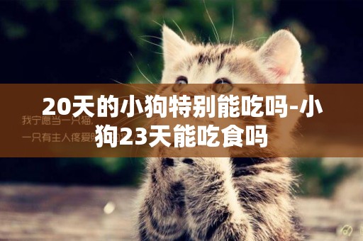 20天的小狗特別能吃嗎-小狗23天能吃食嗎