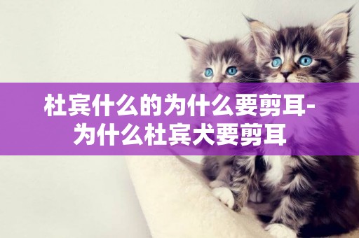 杜賓什么的為什么要剪耳-為什么杜賓犬要剪耳
