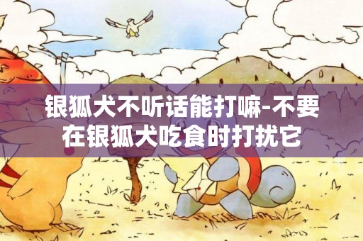 銀狐犬不聽話能打嘛-不要在銀狐犬吃食時打擾它