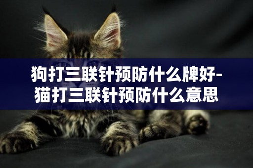 狗打三聯針預防什么牌好-貓打三聯針預防什么意思
