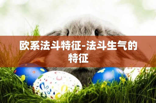 歐系法斗特征-法斗生氣的特征
